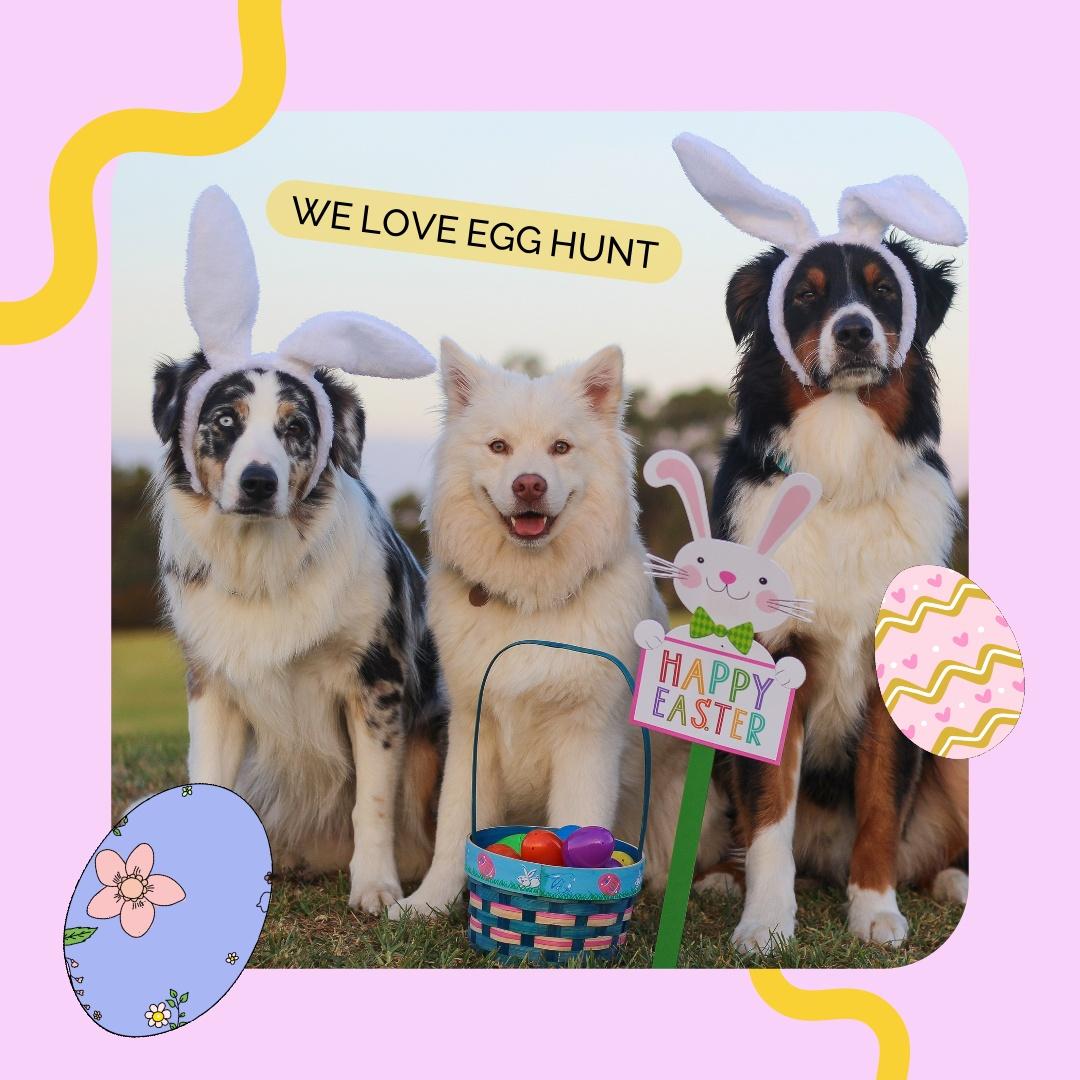 Easter Egg Hunt Game Wave.video