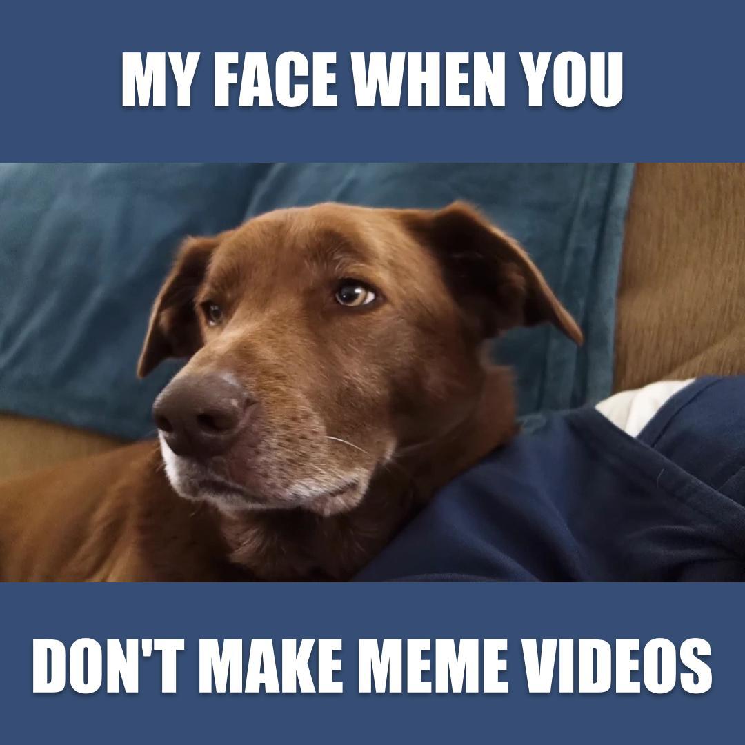 Video Meme | Wave.video